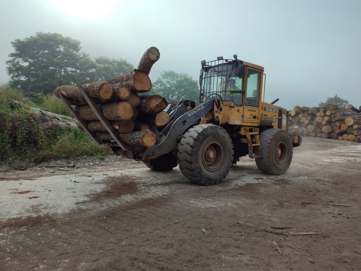 LifeRebollo's tweet photo. El proyecto #Liferebollo sigue avanzando. En las instalaciones de @maderasvaronars de #Santelices se aserró la madera de #Soria, con trazabilidad tabla a tabla proveniente de #bosques con #GFS. De esta madera se obtendrán muestras para la caracterización de #Quercuspyrenaica. https://t.co/WsPmZQPJ2s