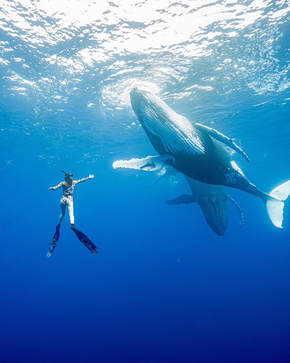 Sally Hurst tweet media