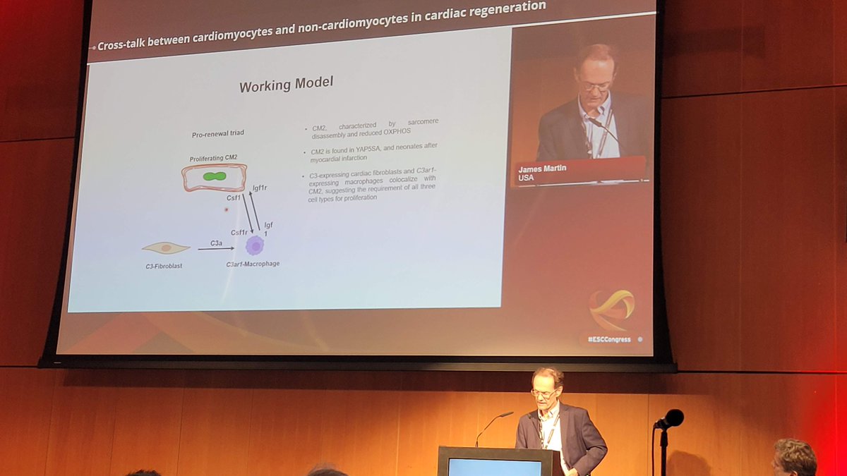 How to increase cardiac regeneration? 
Jim Martin provides compelling data that cross-talk between cardiomyocytes and non-cardiomyocytes (fibroblast, macrophages) is important for this process. Great new avenues to explore!
#BasicScience #ESCCongress 
@C_Balbi90 @liberale_luca