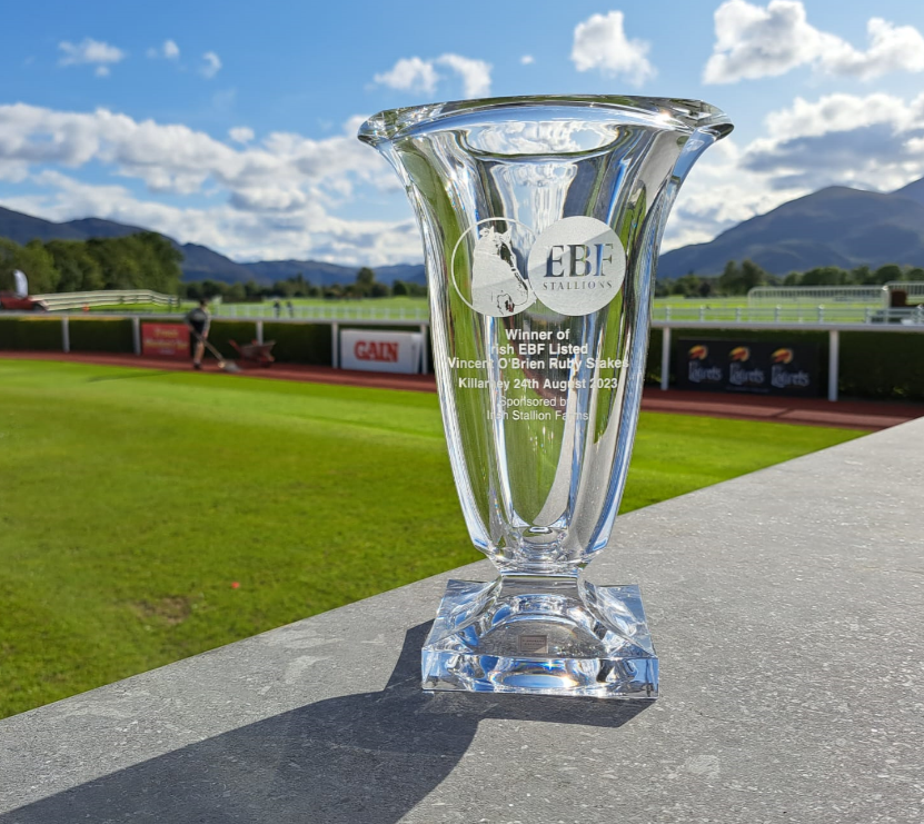 SALT LAKE CITY (by Galileo <a href="/coolmorestud/">Coolmore</a>) wins the Listed #IrishEBF Vincent O´Brien Ruby Stakes <a href="/KillarneyRaces/">KillarneyRaces</a> for <a href="/Ballydoyle/">Ballydoyle Racing</a> <a href="/KillianHennessy/">killian hennessy</a> &amp; Coolmore Partners 👏🏆👏

#EBFGoodForRacing 👏 🐎
#HorseRacing