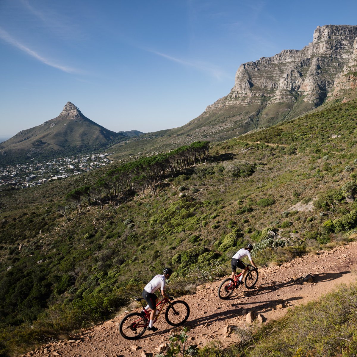 Signal Bikes (@signalbikes) on Twitter photo Get out there #OnTheHill this weekend ⛰🚲💨🇿🇦 Get out there #OnTheHill this weekend ⛰🚲💨🇿🇦