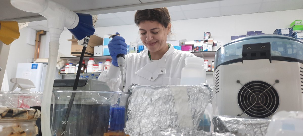 <a href="/DaphneMavrides/">Daphne Mavrides</a> from @UNIC_med is visiting <a href="/TsaousisLab/">Tsaousis LAB @ University of Kent 🇪🇺</a> on a short-term scientific mission <a href="/COSTprogramme/">COST</a> #blastocystis #OneHealth #science #sciencewithout borders #training #networking