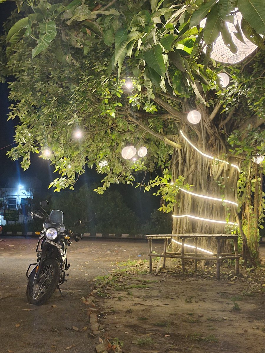 MaxWithBug's tweet image. Like #javascript Traveling 🧳 should be &quot;Const&quot;🎏🍿

#Nightowl
#developer #javascript #programmer #tech