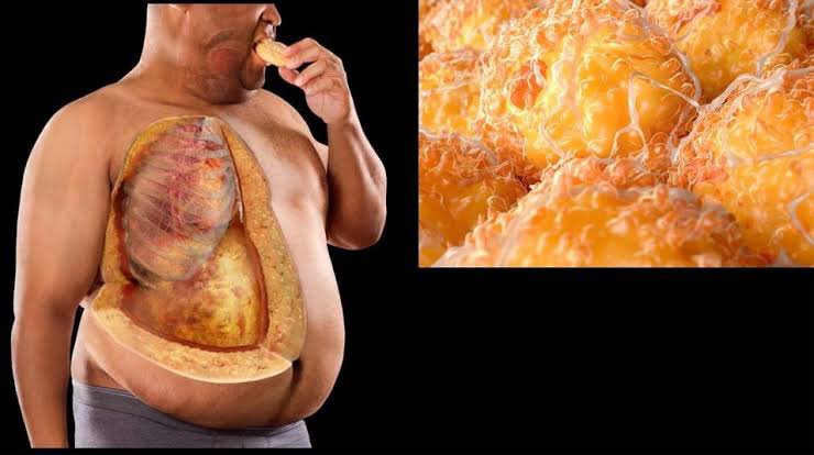 İç organ yağlanması; kalp damar hastalığı, diyabet ve bir çok kanser türü için büyük bir risk faktörüdür.

İşte iç organlarınızdaki yağlardan kurtulmak, sağlığınızı düzeltmek ve yaşam kalitenizi artırmak için 8 adımlık yol haritanız.

Teker teker uygulayın, yağları yok edin 💪👇🏻