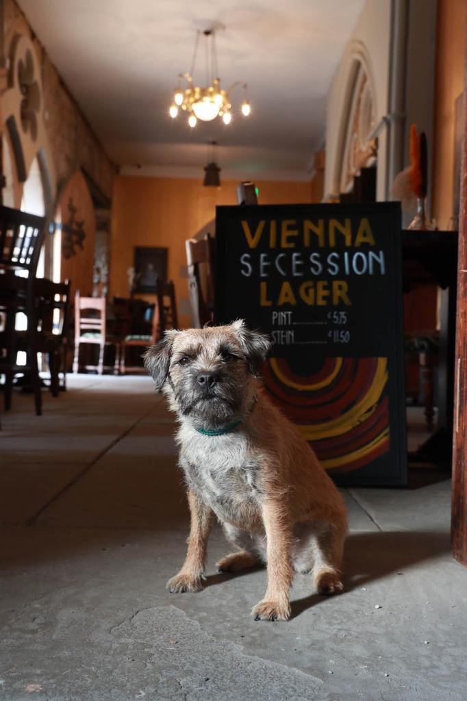 🗓️ This Saturday At Secession: #internationaldogday 🐶 

🐕 As always, all four-legged friends are warmly welcome to <a href="/Secessionbar/">Secession</a> which is a very dog-friendly venue 🐩 

🦴 Free doggy gift bags handed out to any pooches &amp; pups visiting on Saturday 🍖 

#Glasgow #dogfriendly