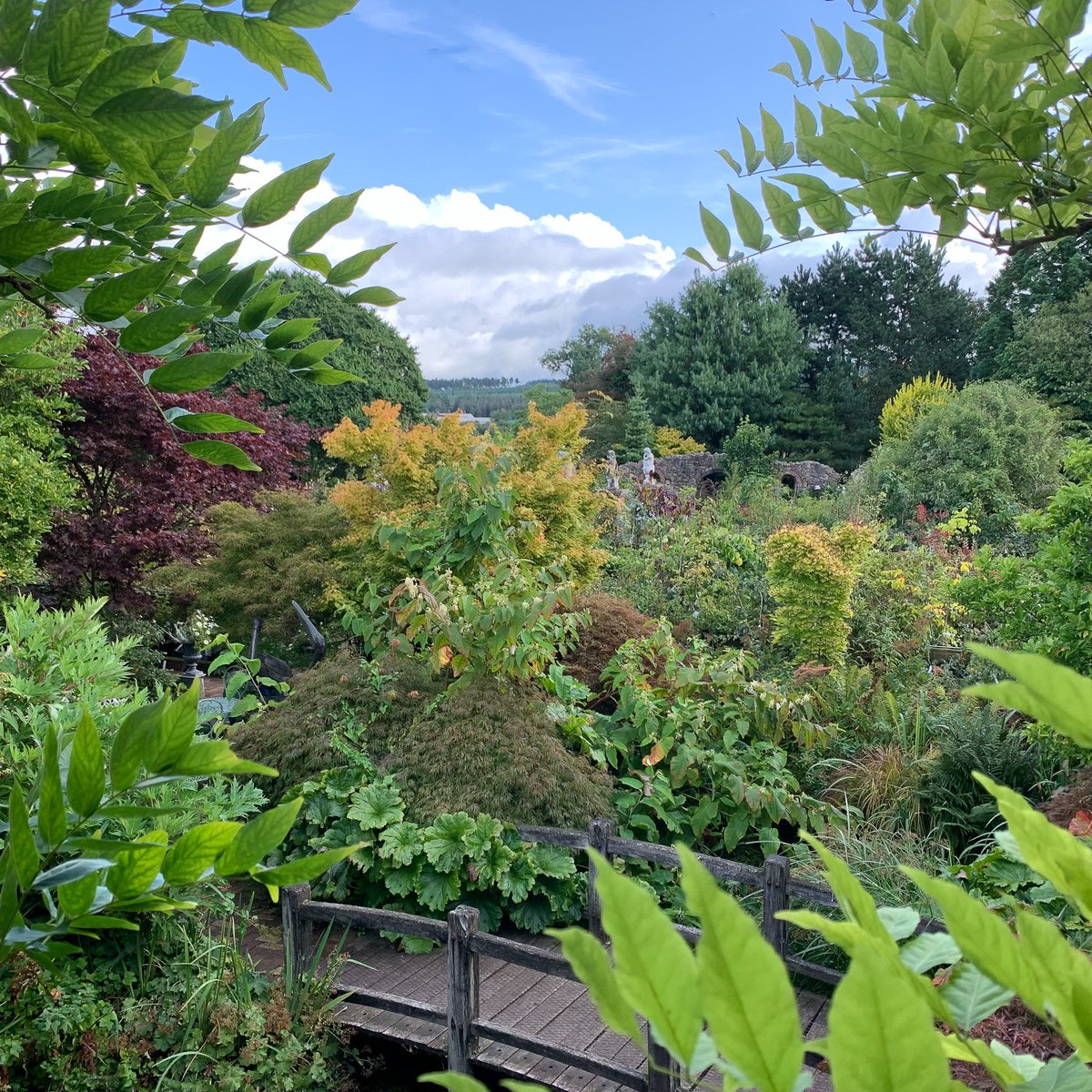 Coffee with a perfect view, what’s not to love 📷
#lacasaverde #LaCasaVerde #perfect #view #perfectview #perfectviews #coffeewithaview #coffeewithaview📷 #coffeetime #coffeeandcake #coffee #coffeewithfriends