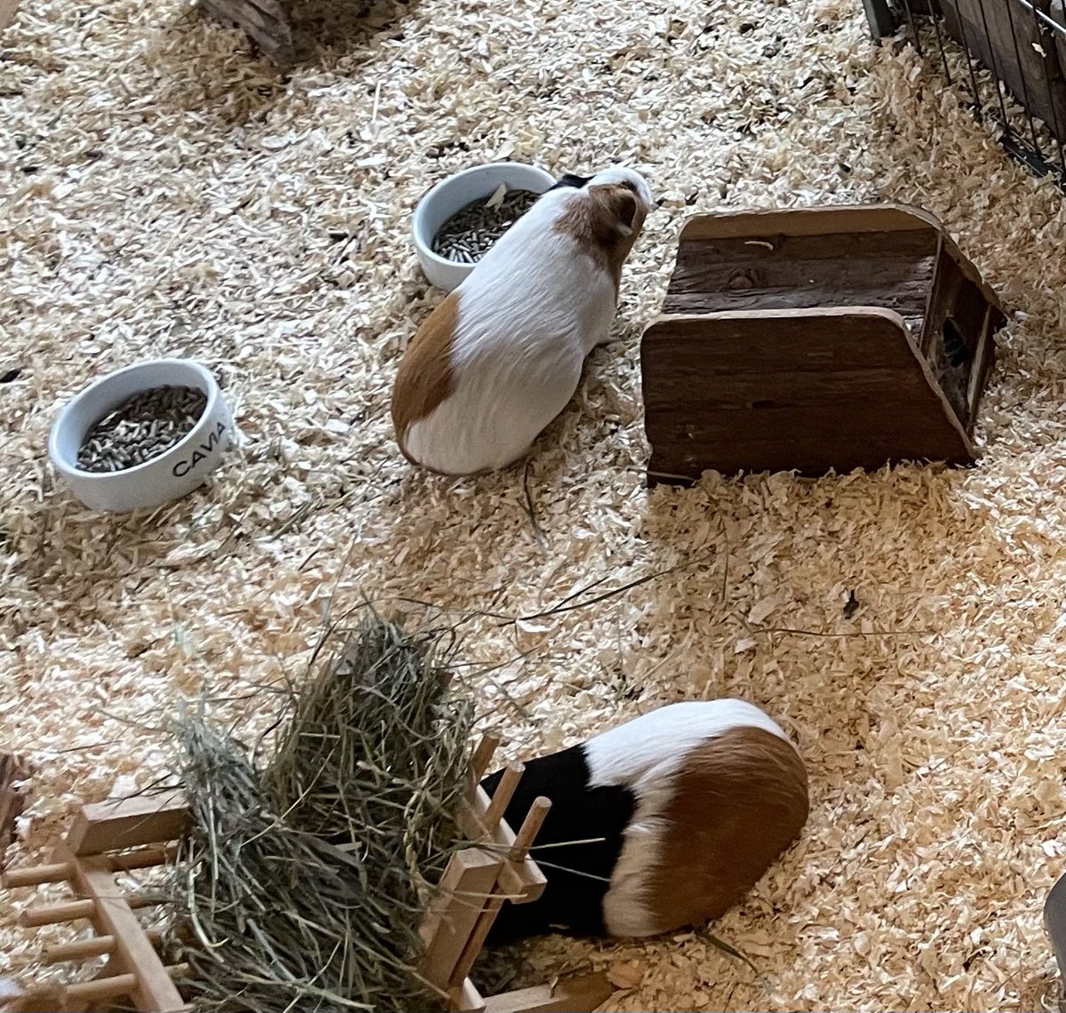 Attie Mager tweet media