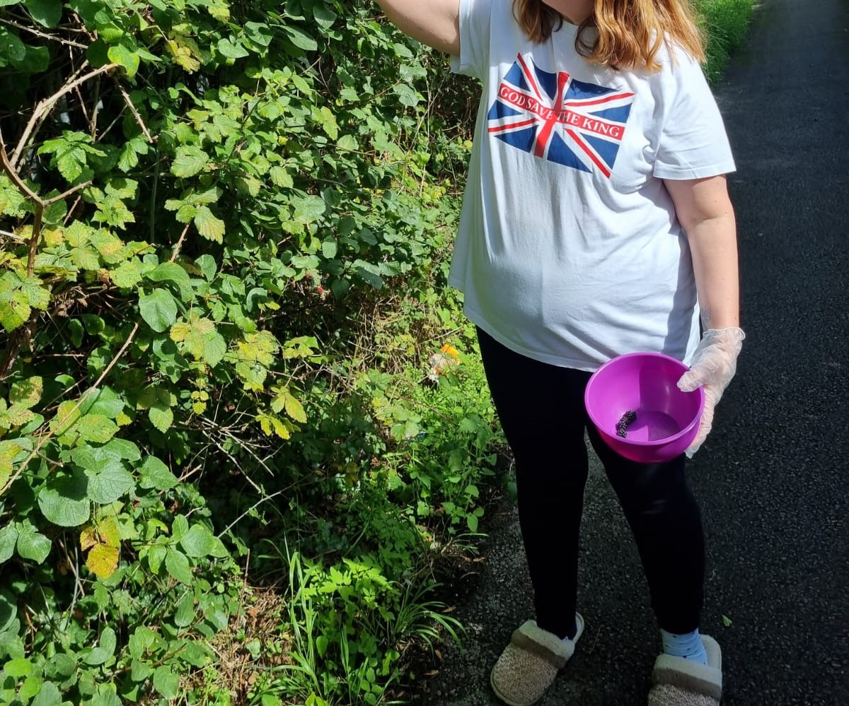 IrisCareGroupSL's tweet photo. One of the people we support spent an afternoon blackberry picking and baked a delicious cake with the berries - we can confirm it tasted as good as it looked! https://t.co/krP0U4rD6t