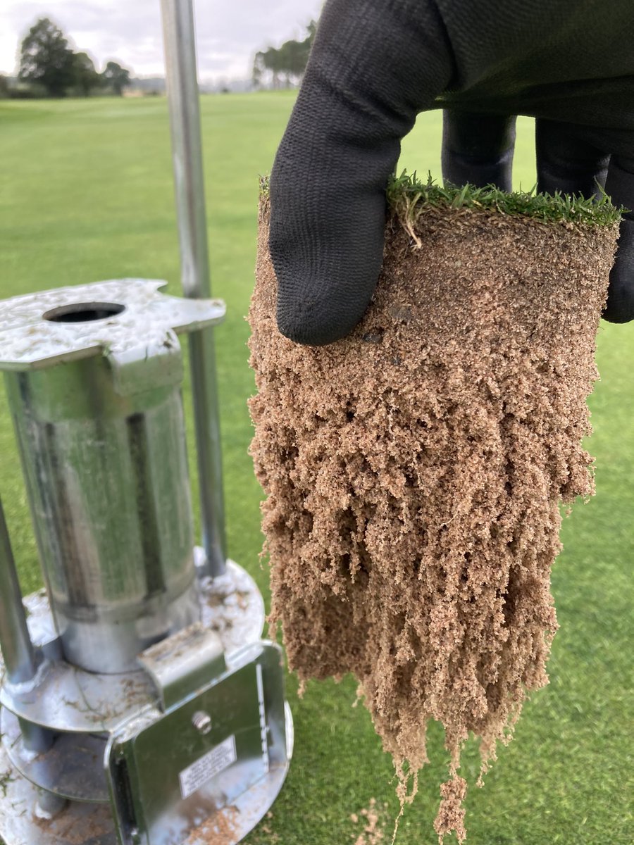 Ponteland GC Greens tweet media