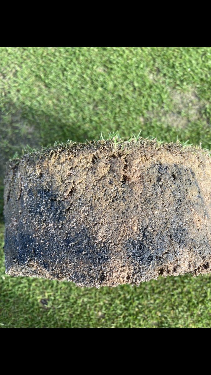 Ponteland GC Greens tweet media