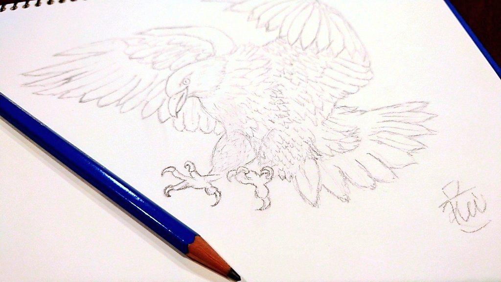 kei_pixel's tweet photo. 時間があったのでデッサンの練習。
鳥は羽が細かすぎるのが難点。 https://t.co/zSp8WvnOV4