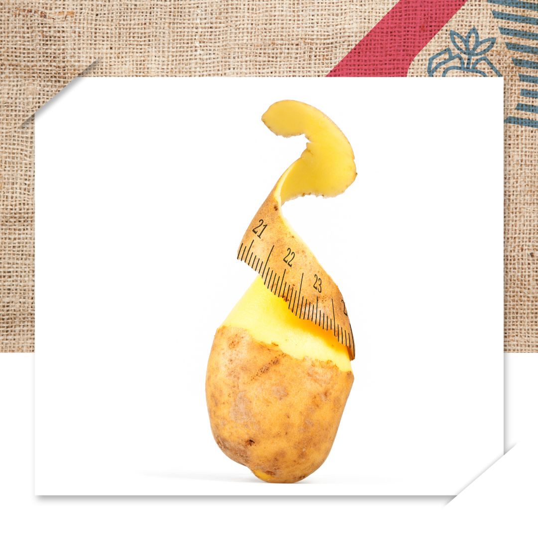 sayagrico's tweet photo. Volgens de Australische Andrew Taylor kun je afvallen door alleen aardappelen te eten. Ondanks kritiek van zijn dokter op dit eentonige dieet zette hij door. Binnen 9 maanden raakte Andrew 50 kilo kwijt. 
#Agrico #AgricoPotatoes #potatofun #Don'ttrythisathom

Bron: RTL nieuws https://t.co/vEobD9T7v8