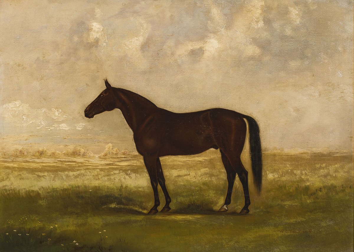 In 1902, trainer/owner Alton McDonald commissioned this portrait of his trotter Queechy. In 1896, Queechy broke a Glens Falls track record at a meet of the Trotting Horse Breeders Assoc. From the 1890s to 1900 Queechy was listed in racing columns from Buffalo to Philadelphia.