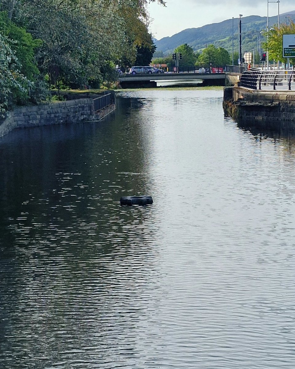 Newry Canal looking tranquil in the morning sun 🌊🌞

#newry #newrycity #newrycanal #canal #buttercrane #buttercraneshoppingcentre #canalbridge #merchantsquay #tranquil #idylic