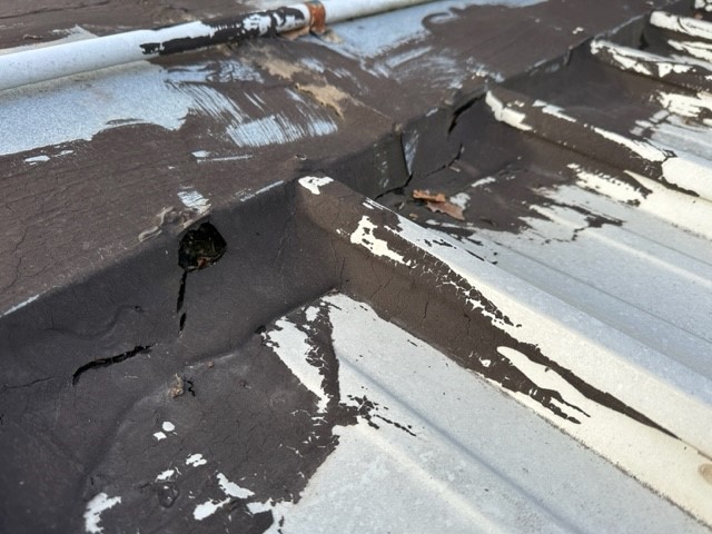 ProductsTopps's tweet photo. Another week, another customer needing Topps Products.
Can you spot where this one is leaking from?
Why use cheap DIY products on your commercial roof?
Get in touch with us for a quote to solve your roofing problems.
https://t.co/4FieCaTXxR
#roofleak #property #ToppsProducts https://t.co/bBAk4OHeE8