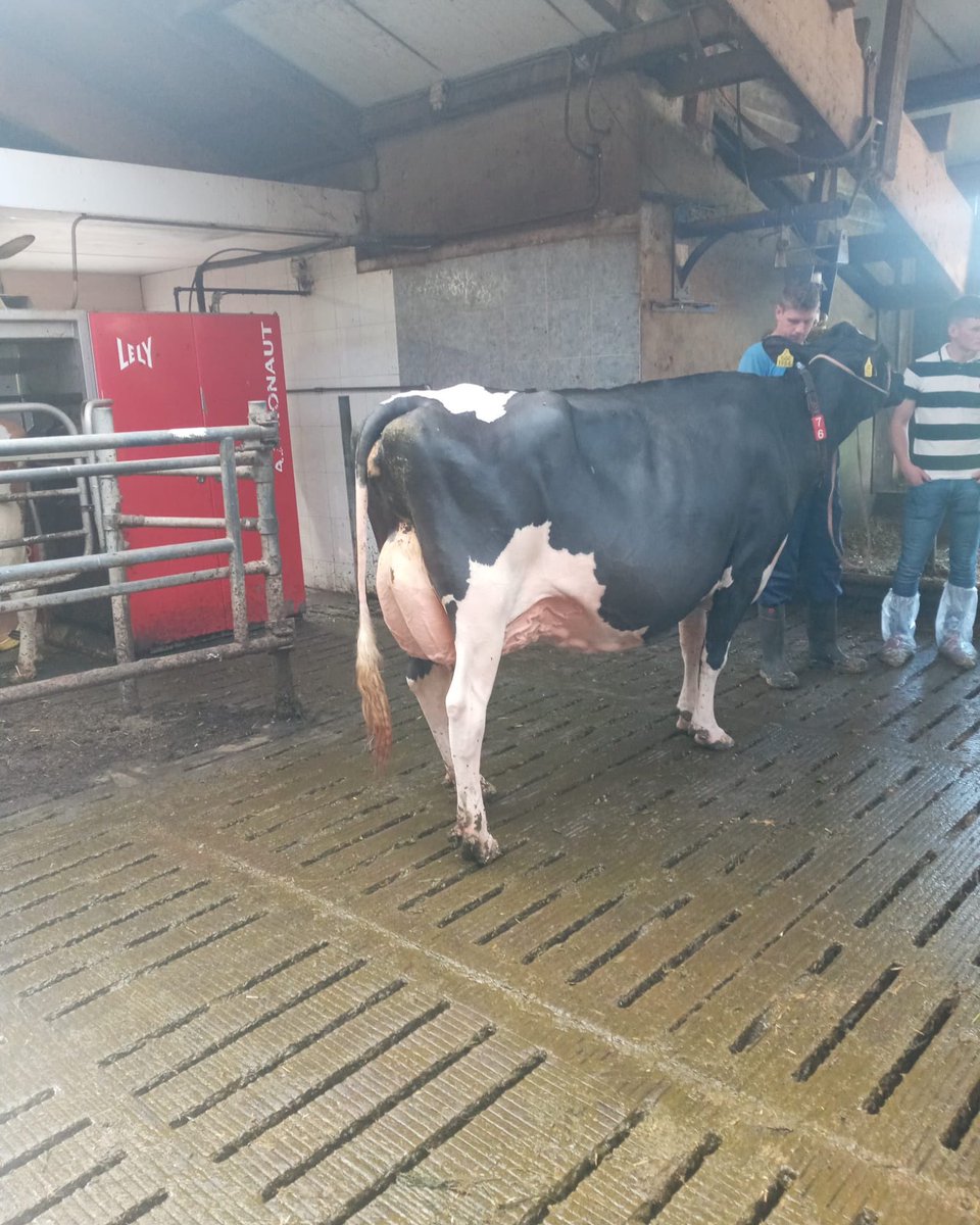 Farming Focus tweet media