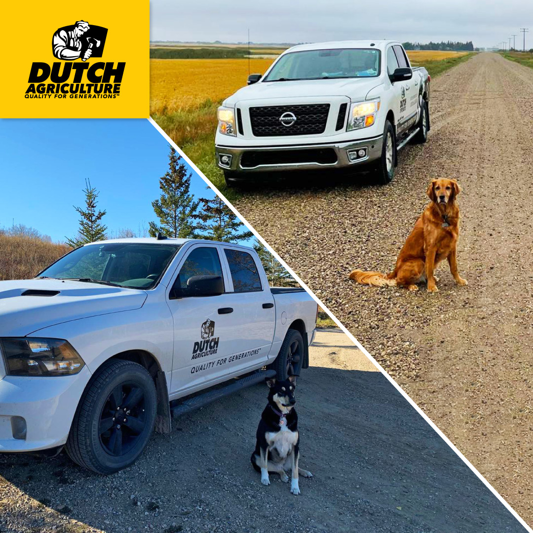 We meet the best farm families on our travels. These furry ‘staff members’ happily greeted us and made our day! 🐾 Hope they’re getting paid well.

#FarmVisits #DutchAgriculture #FarmFamilies #CanadaAg #CdnAg