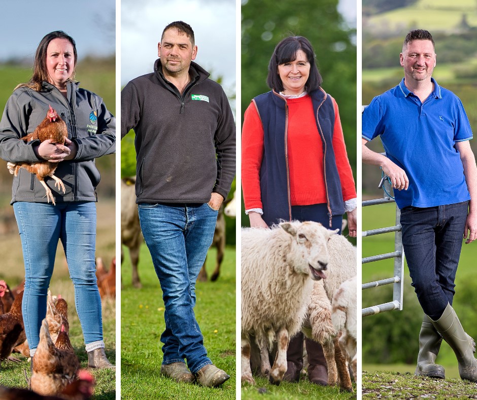 Farmers in Wales, are you looking to upskill? Farming Connect offers a range of training courses subsidised by up to 80% for registered individuals. There are a wide range of courses available! In business, land, machinery and equipment, and livestock 👇ow.ly/BCvV50PCKQX