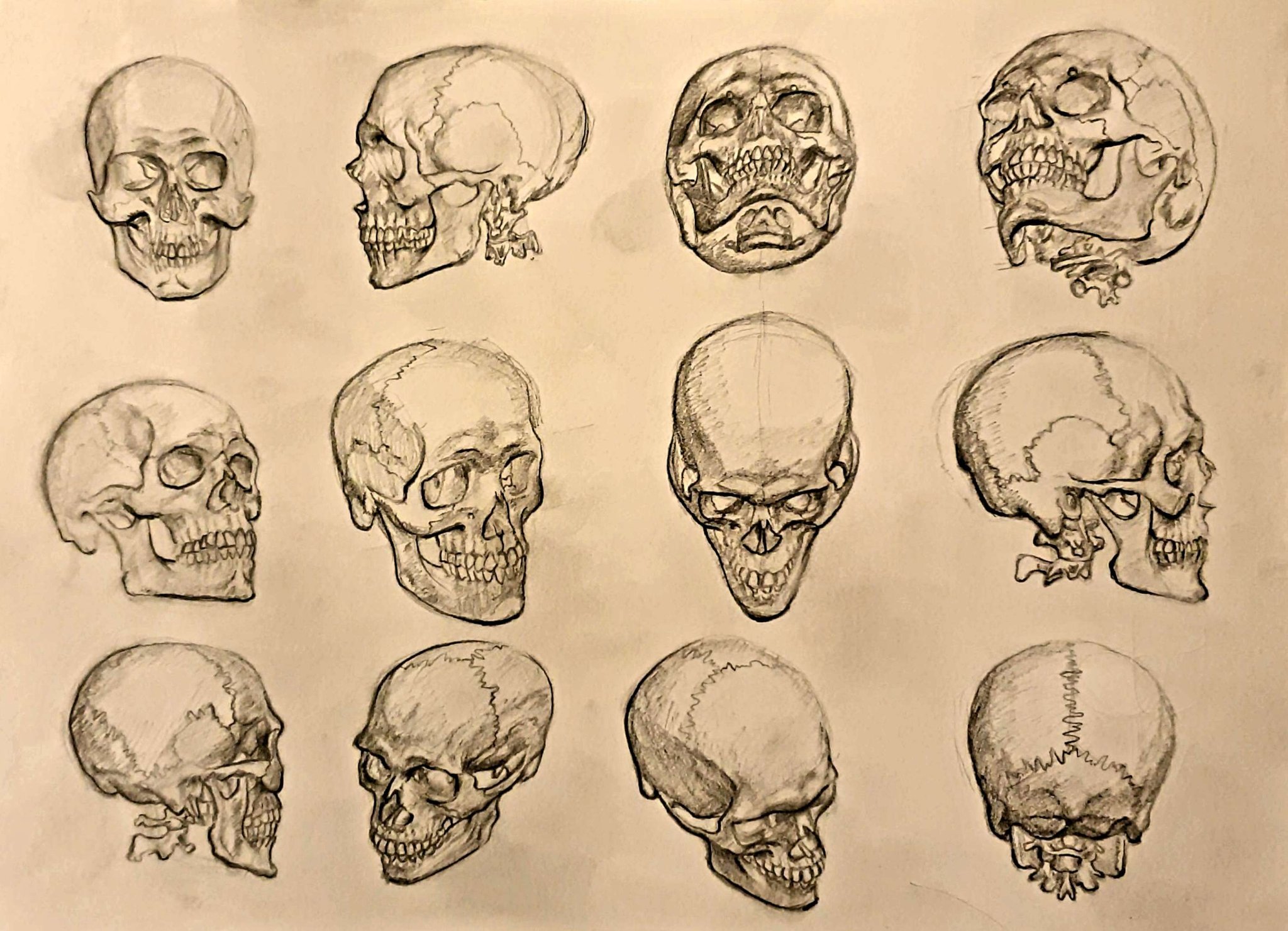 How To Draw A Simple Skull, Step by Step, Drawing Guide, by Dawn - DragoArt