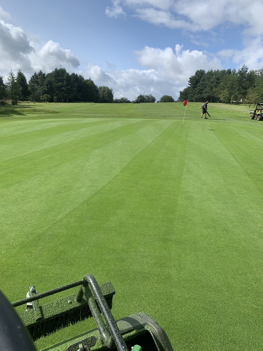 Two weeks on from renovations, HOC back down to 4mm