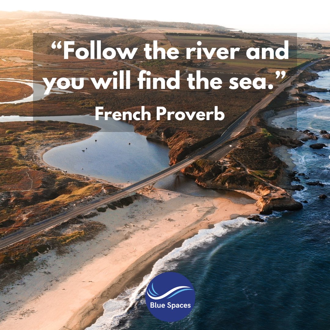 Blue Spaces tweet media