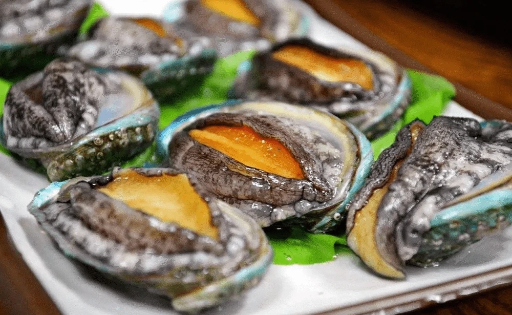 HolaFujian's tweet image. In recent days, Lianjiang county, the "hometown of #Chinese #abalone" in #Fuzhou city, #Fujian province, has welcomed its abalone #harvest season. #Fishermen are driving boats harvesting abalones back to port, busy selling them to major markets across the country. Abalone farming