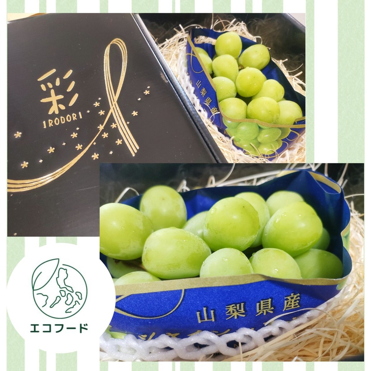 komi_n7t2m's tweet photo. エコフード【公式】
@ecofood_com 様より

シャインマスカットを頂きました💚

種もなく皮ごと食べられて
とても美味しい🥰
ありがとうございました🌈

#こみの懸賞記録 https://t.co/xoMBIyh4Ae