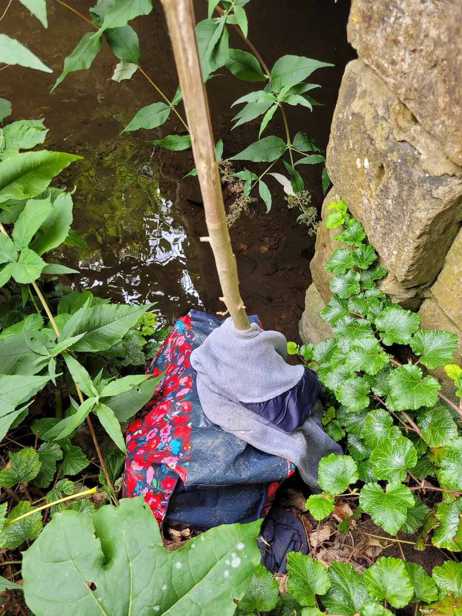 LitterWrexham's tweet photo. Concrete river bed, disposable vapes. These fish are determined to hang on. One bag picked around the River Gwenfro in town this morning #Wrexham #cleanrivers #fish4life https://t.co/e4rhBGenEn