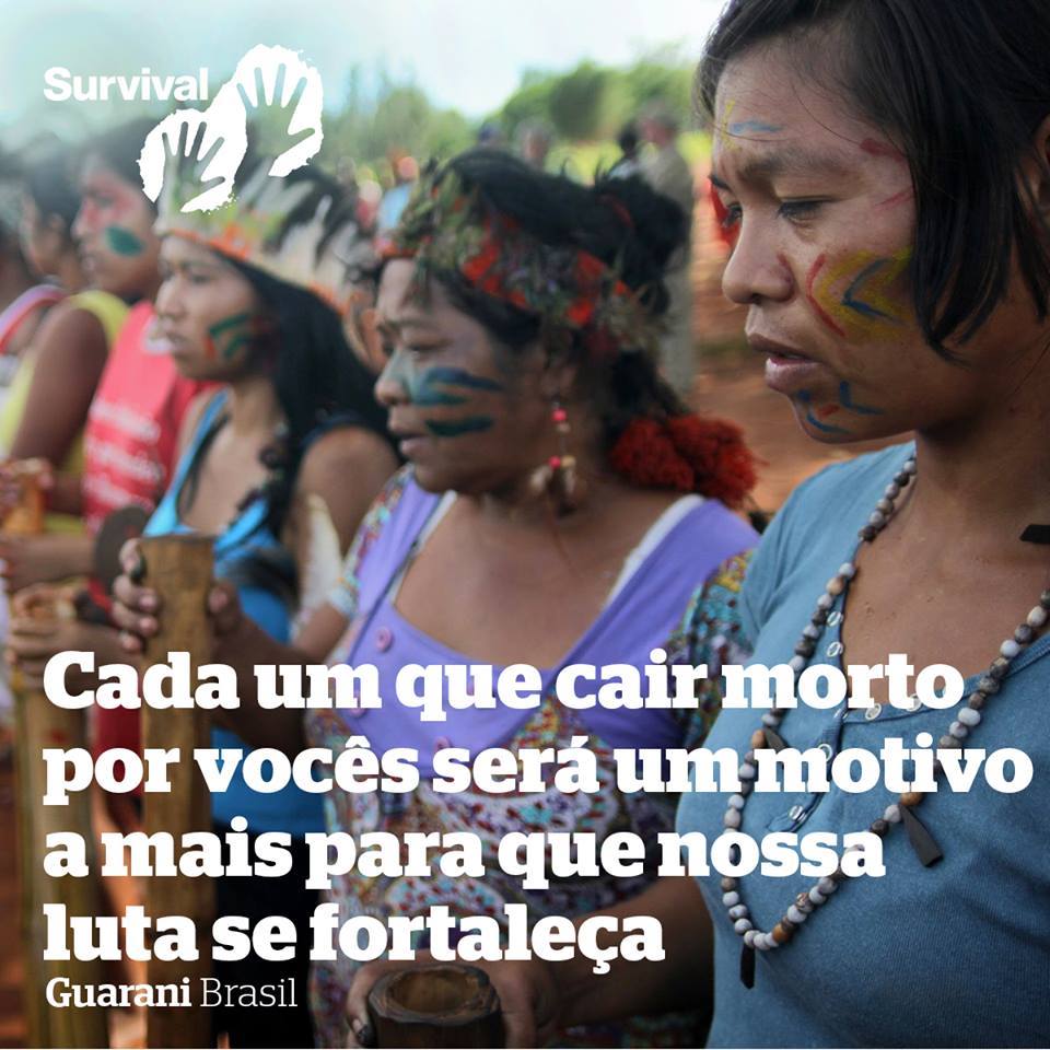 Há +de 500 anos os #PovosIndígenas do Brasil e seus apoiadores lutam e prosperam contra políticos temporários e genocidas. ✊

Então aqui vão duas mensagens simples para senadores que, pelo jeito, não querem aceitar que #DireitosIndígenas são, além de constitucionais, ancestrais.