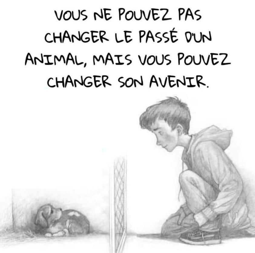 Loovenelle's tweet photo. https://t.co/5fdi5qxbZX