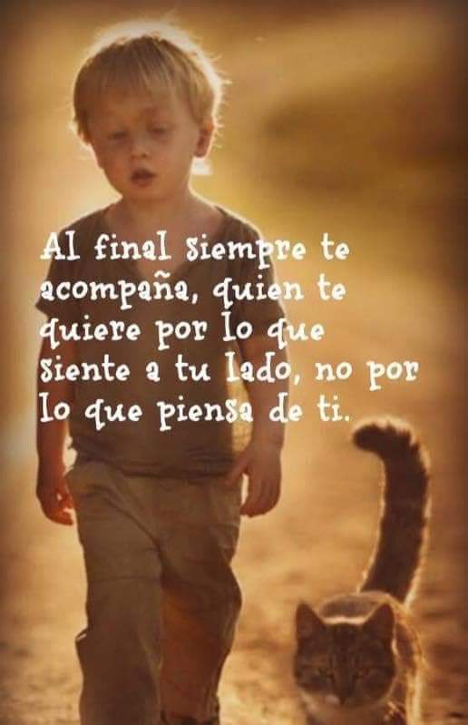 Fogata (@fogata13) on Twitter photo 