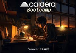 babyfuture2021's tweet photo. Next mission is Caldera , we love this project , have zk poker --> Great , let's do it now my Friends :

Go to https://t.co/qm2NJTPBEg

Week 1 : 70 Point 

Quiz Basic : A, B, D, B, C, D, B, G, E, B, C 

Quiz Advance: C, D, B, A, D, B, A, B, A, C, A

Week 2 : 50 Point 

Quiz : A- B- B- D- D- A- C- B- D- D- D- D- A 

Week 3 : 45 Point ( so easy social task ) --> Done 

We WAKE u UP everyday my Friends . 
Remember " the MORE mission u DO , the MORE profit u HAVE "