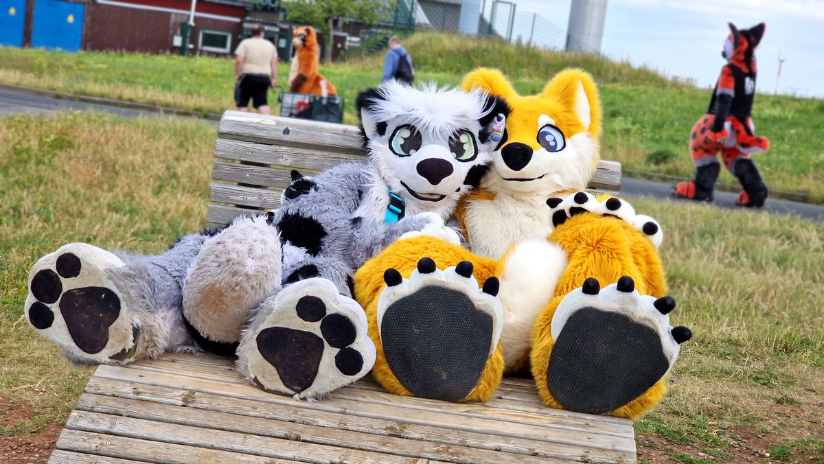AkiraSwoops's tweet photo. Happy #FursuitFriday and a good start into the weekend!!!
.
.
.
#furry #furries #furryfandom #fursuit #fursuits #fursuiter #fursuiters #furwalk #suitwalk #fursuitwalk #snep #snowleopard #CHARLIE #mowfamily #blackpawcrwation #bakapawcreation #cute #love #hugs #snugs #cuddles #fa2p https://t.co/sL6QLZfQIF