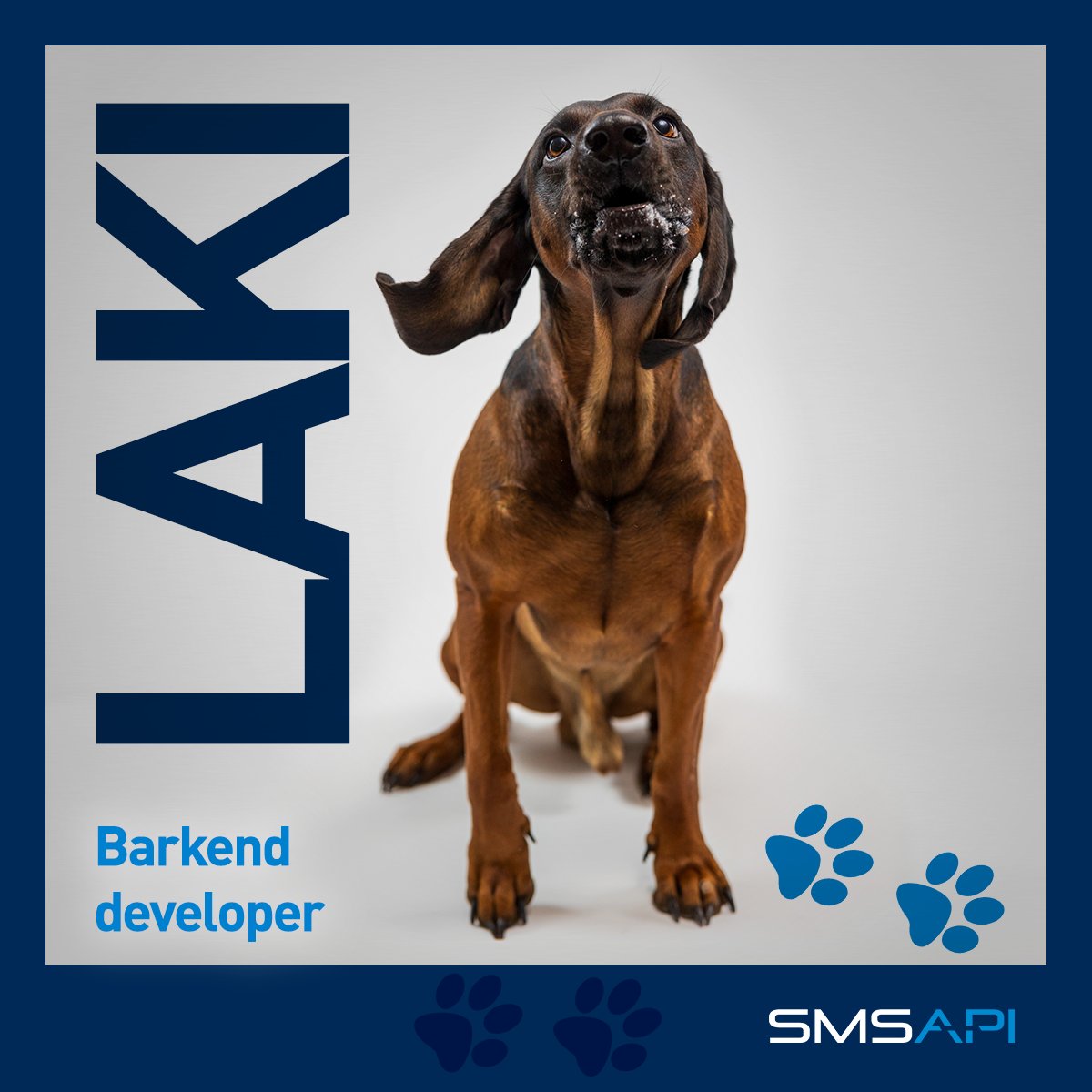 SMSAPI's tweet image. SMSAPI rośnie w psiłę!
Oficjalny #DzieńPsa dopiero w sobotę, ale co tam. Poznajcie: Daisy (Chief cuteness officer), Frediego (Junior softhair engineer), Lakiego (Barkend developer), Munia (Ball manager) i Tequilę (EAT systems administrator). #SMSAPI? Raczej #SPSAMI!