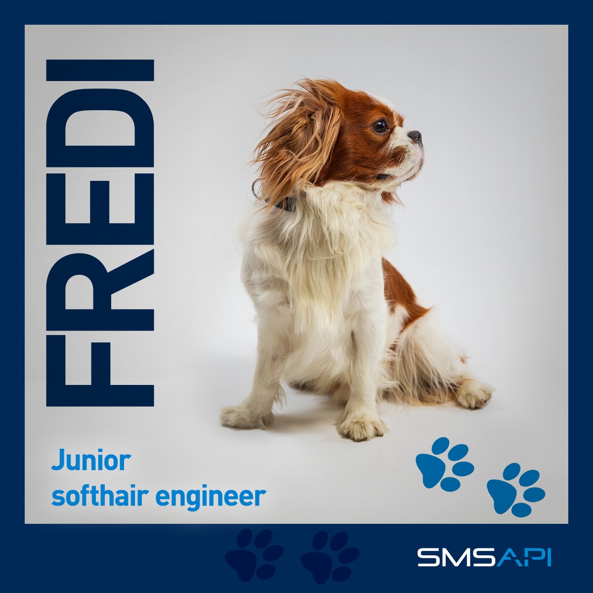 SMSAPI's tweet image. SMSAPI rośnie w psiłę!
Oficjalny #DzieńPsa dopiero w sobotę, ale co tam. Poznajcie: Daisy (Chief cuteness officer), Frediego (Junior softhair engineer), Lakiego (Barkend developer), Munia (Ball manager) i Tequilę (EAT systems administrator). #SMSAPI? Raczej #SPSAMI!