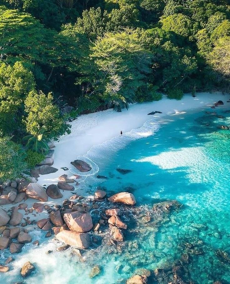 Good afternoon 💙🤍