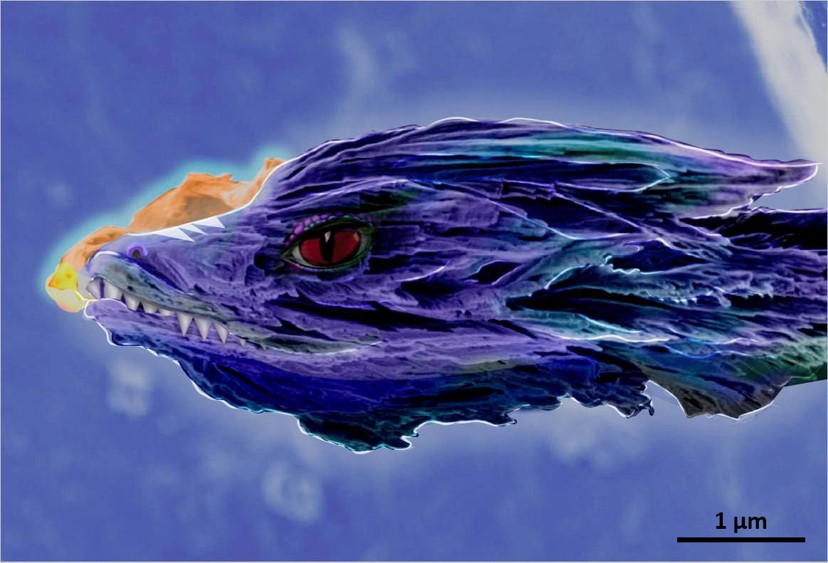 YoungCeramists's tweet photo. YCN Photo Contest 2023 winners are:
🥇First prize: Ana Castellanos Aliaga, "Along the shore of the peptide sea".
🥈Second prize: Nima Amousa, "Mxene Dragon Head"
🥉Third prize: Camila Riberio, "When materials mirror nature"
#JECSTrust #YCNPhotoContest https://t.co/y84Qm5rGaG