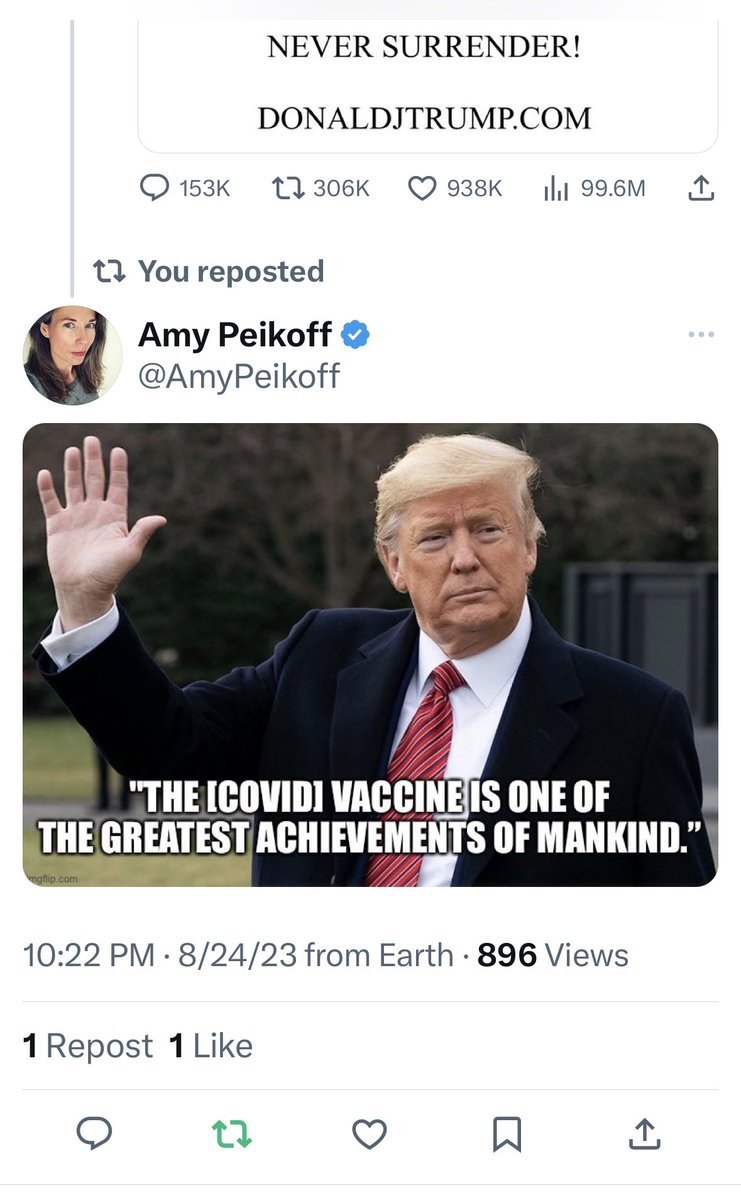 AmyPeikoff's tweet image. It’s interesting to see how the “freedom of speech, not reach” policy is affecting last night’s tweet from @realDonaldTrump. On one view of my reply (on my own feed), you can see two responses. But if you view my reply on his profile, zero. #memoryhole