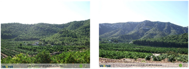 VaersaGva's tweet photo. 🗺️ #SomosVaersaGrupo colabora con @GVAagroambient en la última versión de la cartografía de #TransformacionesAgrícolas. Puedes consultarla en el visor @GVAcartografic, en el apartado Medio Ambiente > Forestal > Transformaciones agrícolas: https://t.co/gyi9sFEiox https://t.co/EXVRne8sk3