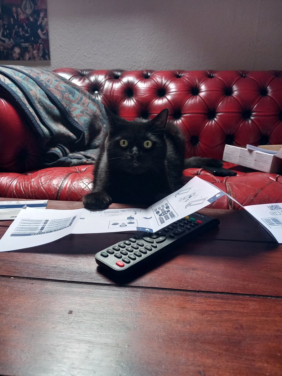 #catswithjobs 

Receiver einrichten, Ragnar-Edition.