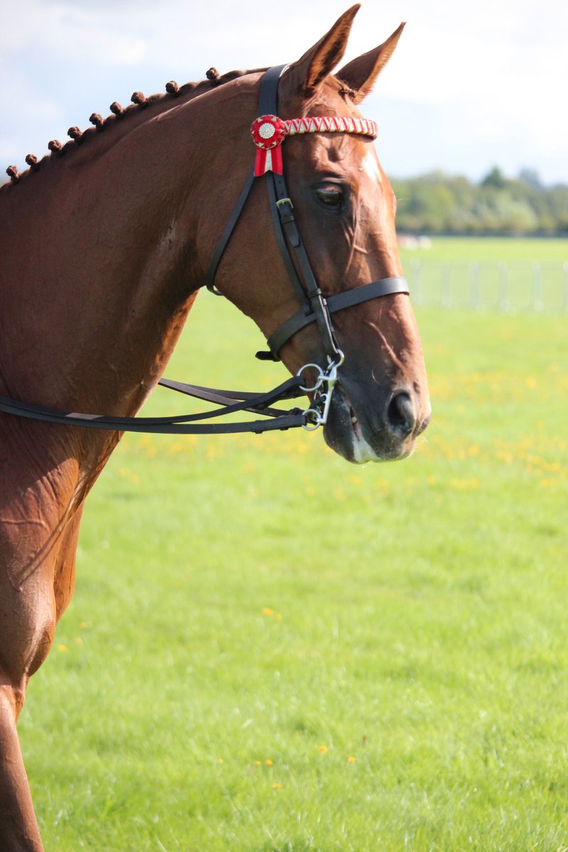 Aintree Racecourse tweet media