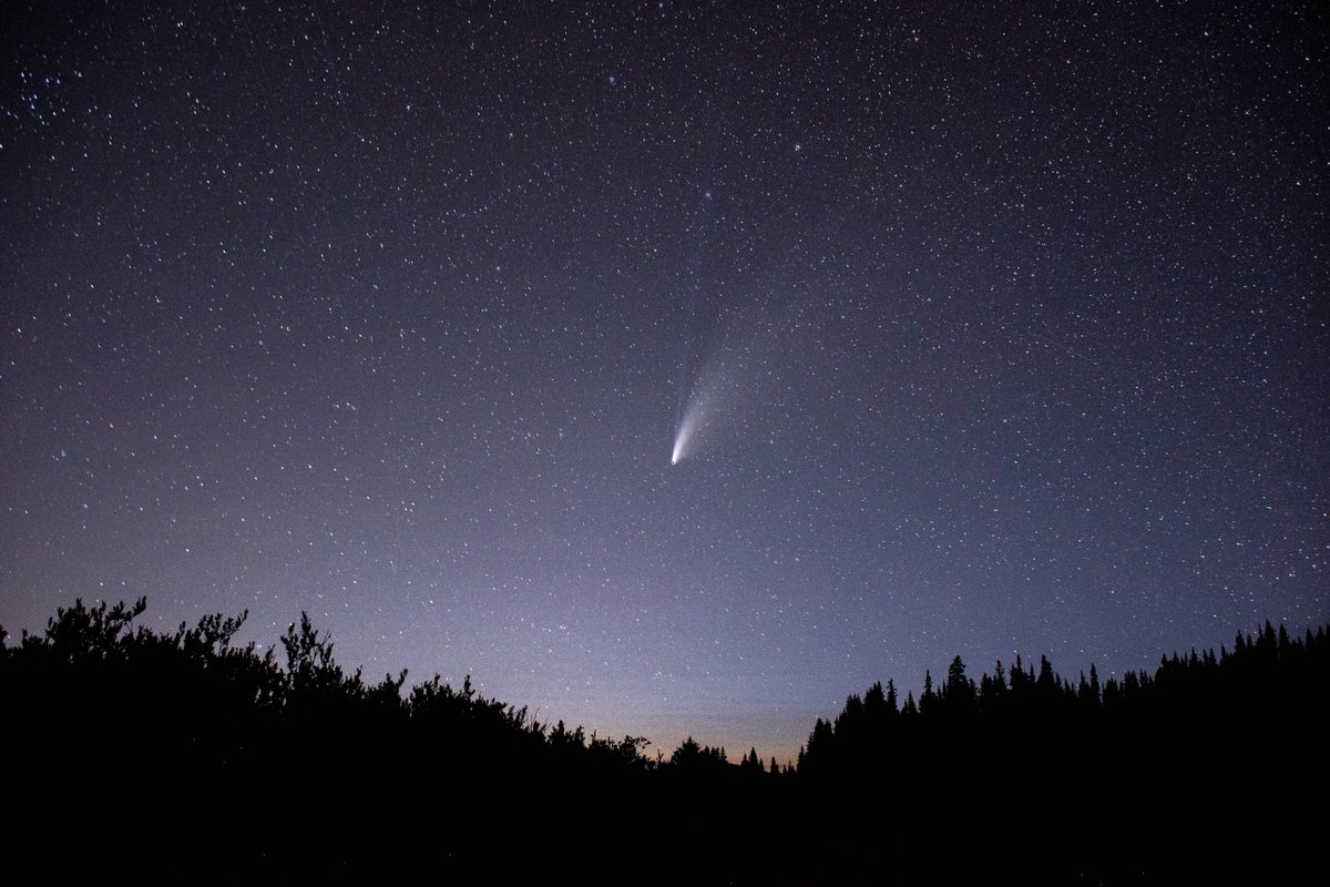 Un nuevo cometa se aproxima a la Tierra y podrás verlo en este mes de septiembre. 

Es el cometa Nishimura, un cometa que, según predice la NASA, posiblemente se pueda ver a simple vista en este mes de septiembre. ¡Te cuento!

¡Abro hilo!🔭🌠👇