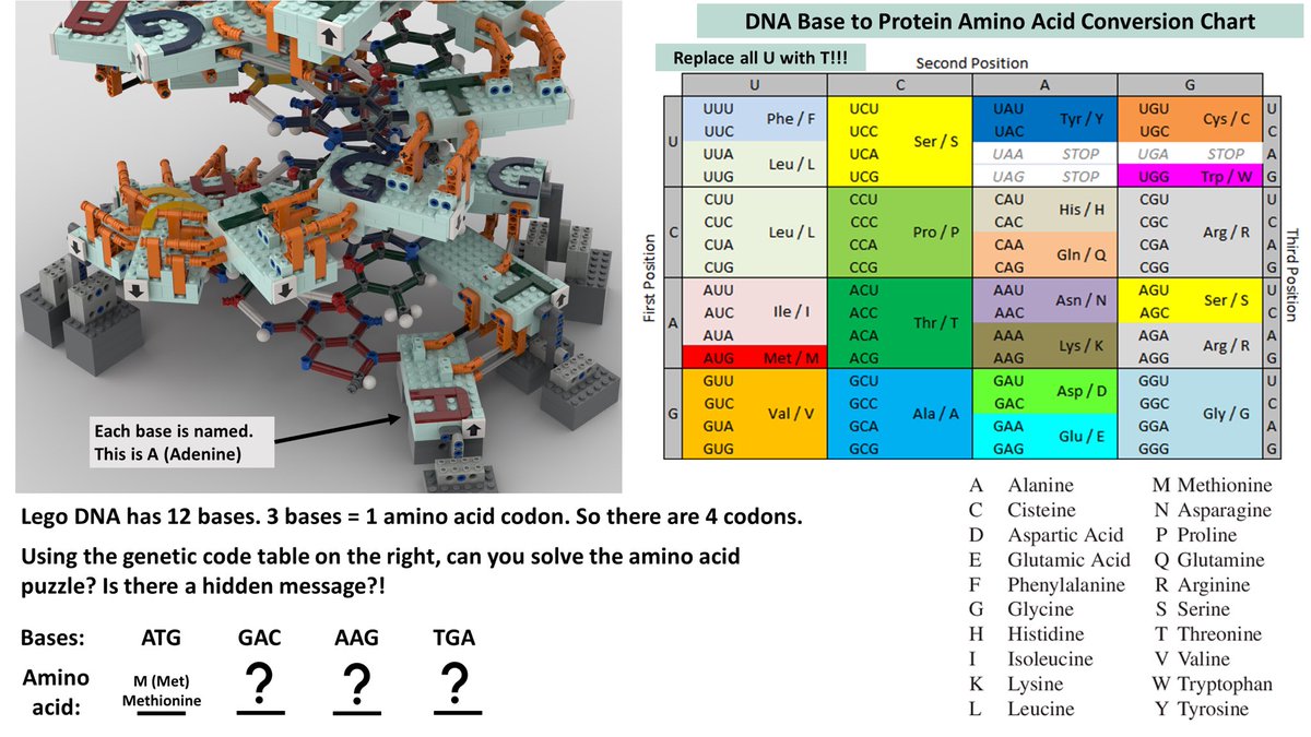 Lego_DNA's tweet image. We reached 600!
Thank you all for your support!!

Please share Lego DNA 2.0: Double Helix History with your friends we can reach 10K and have a chance at becoming a real Lego set!!

#legodna #legoscience #sciencelab #rosalindfranklin