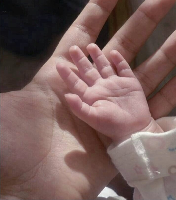 𝘼𝐥𝐞𝐬𝐬𝐚𝐧𝐝𝐫𝐨 tweet media