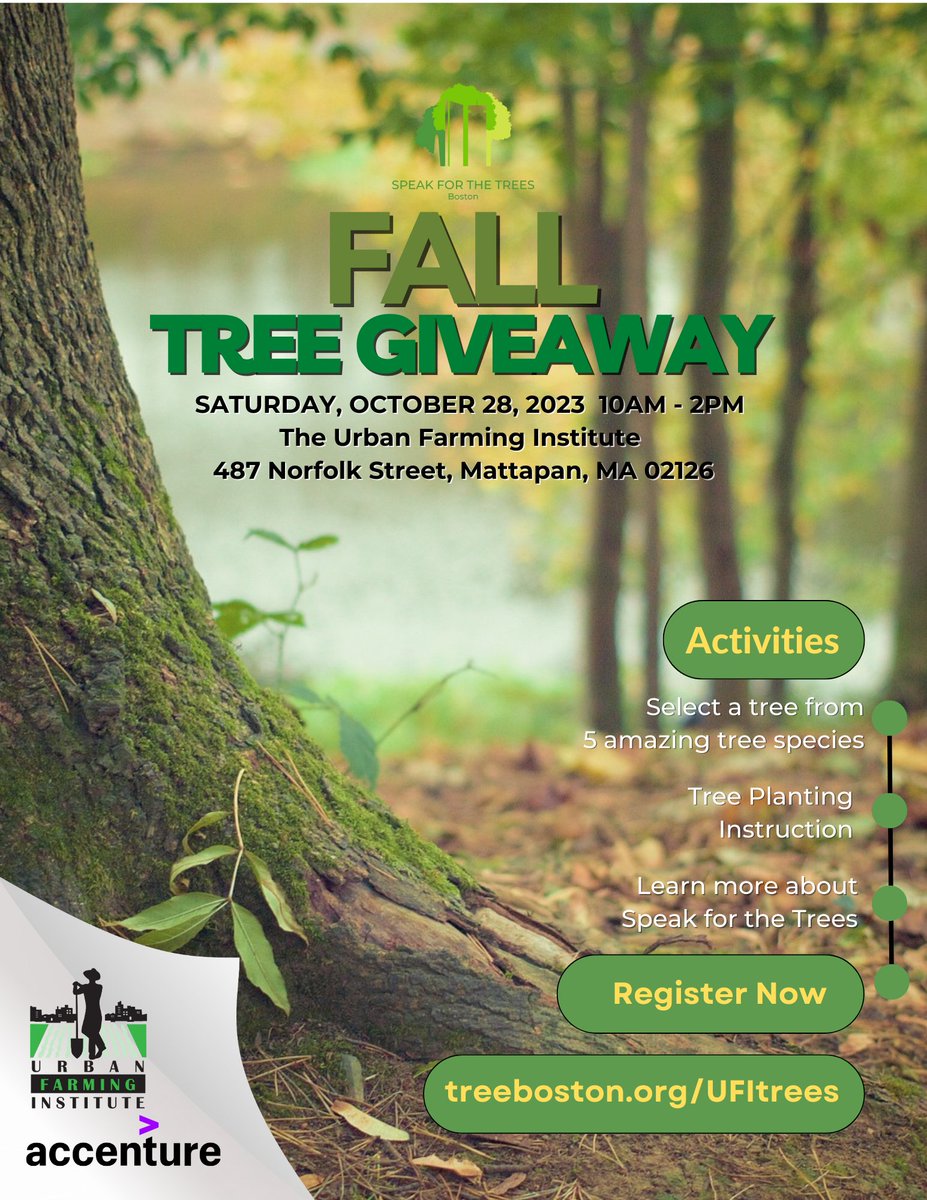 Residents are invited to join us from 10 am - 2 pm on Sep 16 and Oct 28 to pick up a free tree at our fall tree giveaways. Register using the link treeboston.org/events/categor… Sep 16: Boston Green Academy, 20 Warren Street Brighton Oct 28: Urban Farming Institute, 487 Norfolk Street