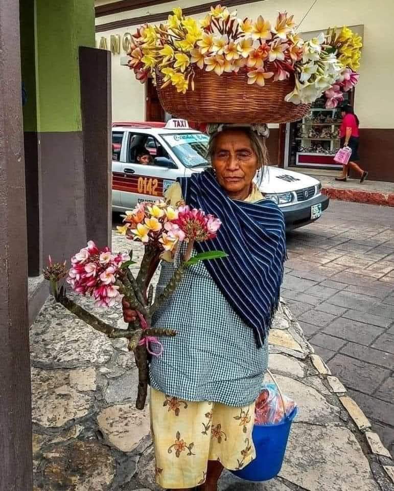 JaimeNindiri's tweet photo. 🚨Una🌺 hermosa 🏵️flor 🌼cargando🌷 flores. 🌸♥️
#Nicaragua 
#FSLNHeroismoVictorioso https://t.co/tLnHxvwvA1