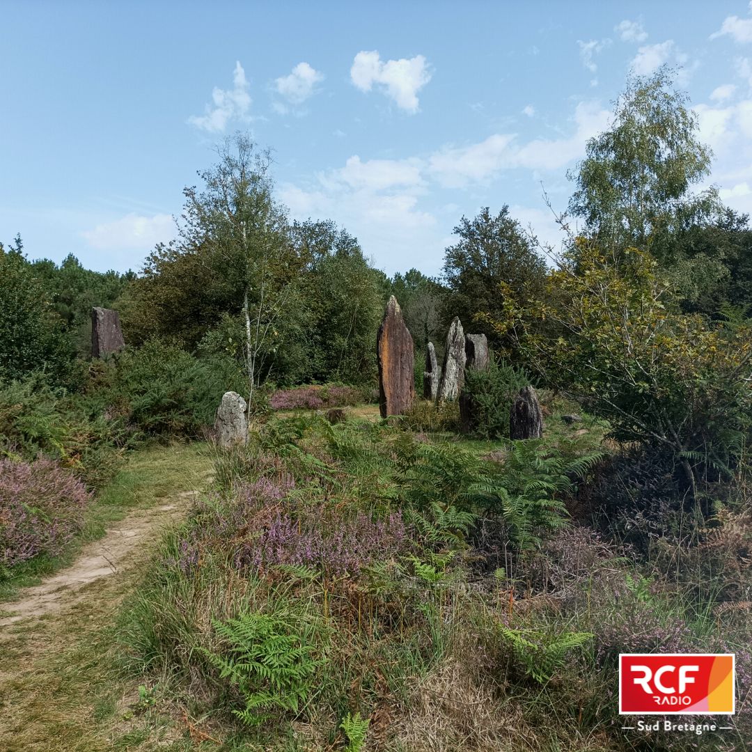 Nouvelle balade en #Bretagne ce 28 août à 17h30! Direction Monteneuf pour découvrir l'un des + anciens sites mégalithiques d'Europe. + de 500 #menhirs y ont été recensés par les archéologues et d'autres sont régulièrement découverts sous la végétation
@MorbihanTourism #Morbihan