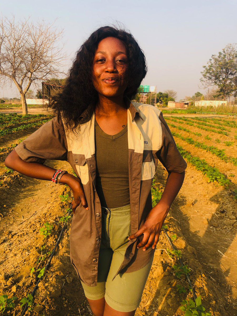 TheYoungFarmer's tweet image. Farmers! God's gift to humanity