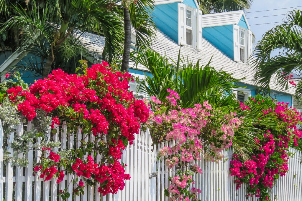 Colonial Dunmore Town on Harbour Island, Eleuthera - Quintessential Bahamian and so picturesque. Have you been? #Travel #HarbourIsland #Eleuthera #TheBahamas