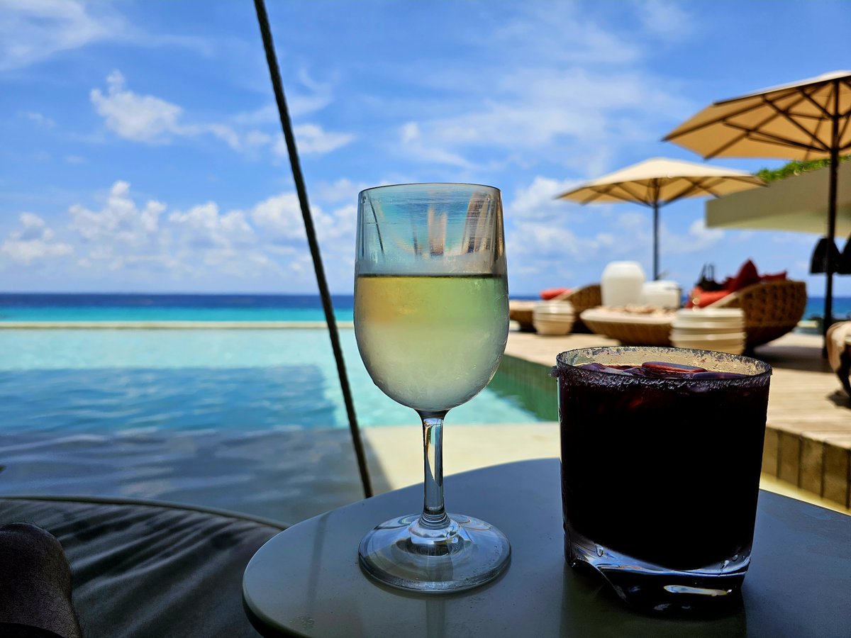 5eniorDeveloper's tweet photo. Los que publican fotos en la playa con la laptop y el IDE abierto "programando" les están vendiendo humo, nadie puede trabajar así, no sé puede ver la pantalla, además el calor, la arena y la sal, arruinan la laptop, siempre qué vayan a la playa, vayan a beber.

Salud! https://t.co/Arldy1YaaU
